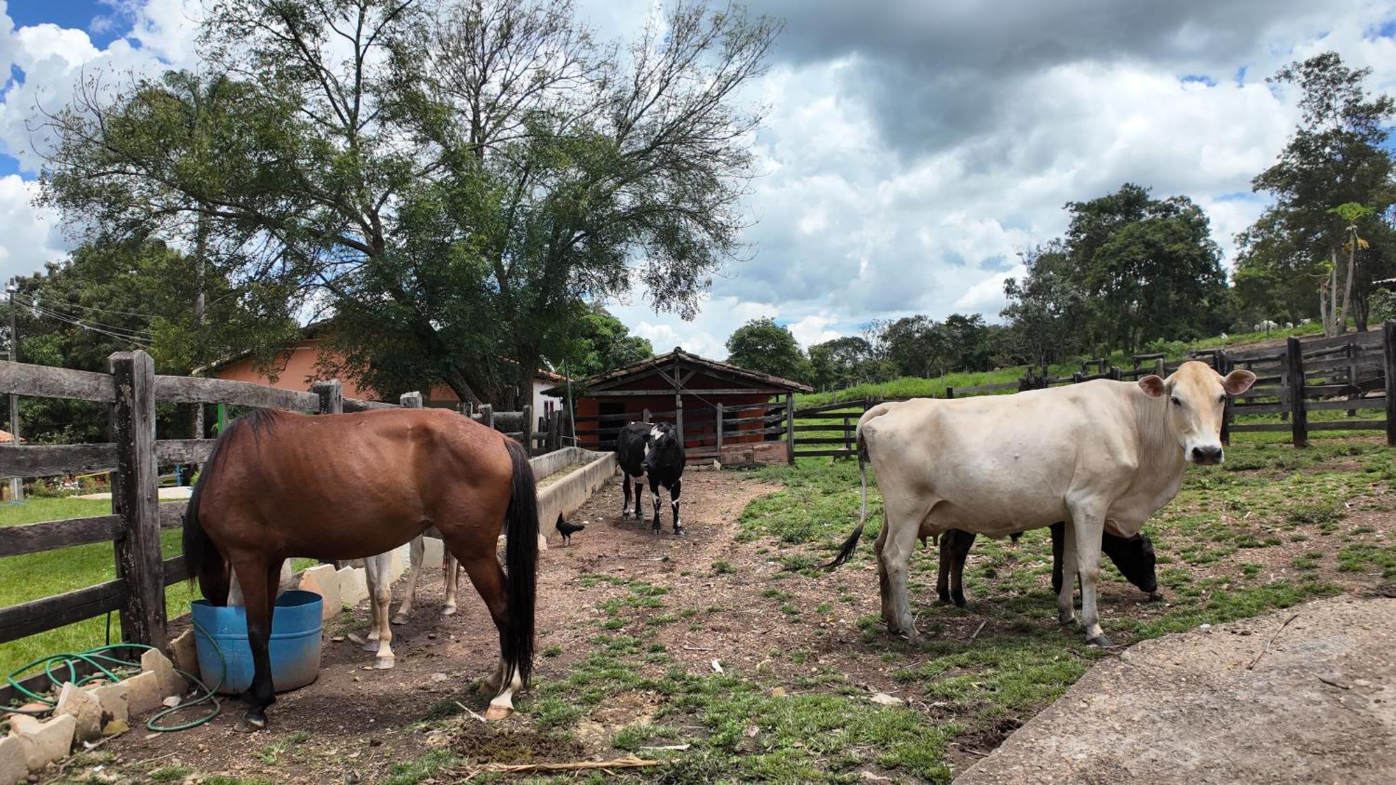 Aguas Vivas Hotel Fazenda Pirenópolis 外观 照片